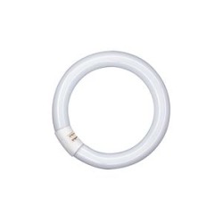 T9 Lumilux circulaire 40W/840 C G10Q OSRAM Tube Fluorescent
