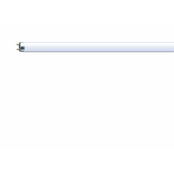 T9 Lumilux circulaire 40W/840 C G10Q OSRAM Tube Fluorescent