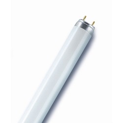 OSRAM Tube Fluo Natura T8 36W/76 G13
