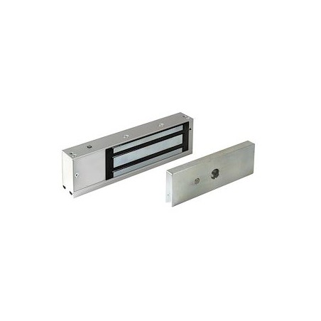 Ventouse pour issue de secours 2CP 2x5500N + Voyant