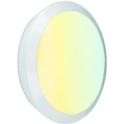 OrbitalCSR - Hublot LED RSE IP66 IK10 240V D300 10/14/20W 3000/3500/4000K BL +M