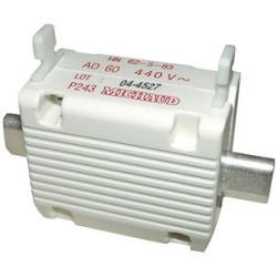 Cartouche fusible à couteaux taille 00 AD 60A - 6943513