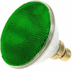 INC - PAR38 230V 80W E27 verte FLOOD