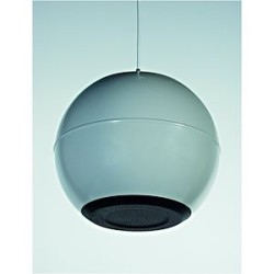 Enceinte suspendue coaxiale 20W