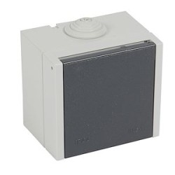 Socle saillie 2P+T 20A - Plexo - finition gris