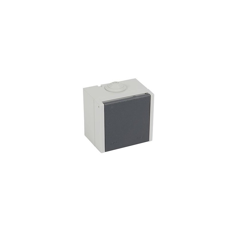 Socle saillie 2P+T 20A - Plexo - finition gris