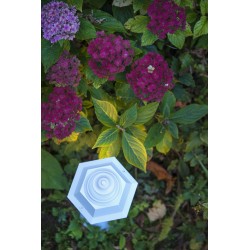 Monaco N°1 Blanc 001