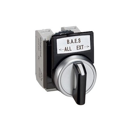 Report à distance pour télécommande - pour BAES