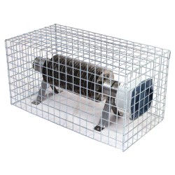 Radiateur ailettes inox 409-500W-230V-IP66/67-L440mm-thermostat 5à30DEGC