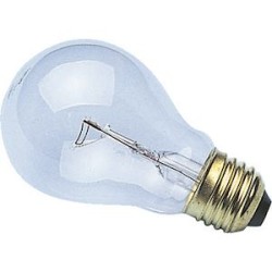 E27 60x105 24V 10W DEP