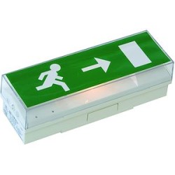 Bloc STD - Incandescent - NP - 45 lm - IP42/IK07