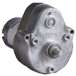 DC Brush Geared Motor 828690 Dir.2 5000RPM Vdc24 Con.Tabs Fil.Var. Ratio160