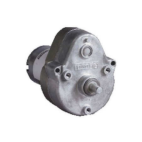 DC Brush Geared Motor 828690 Dir.2 5000RPM Vdc24 Con.Tabs Fil.Var. Ratio160