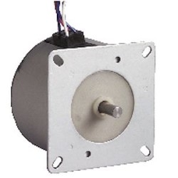 Synchronous Motor 825400 V220-230 Hz50 Dir.2