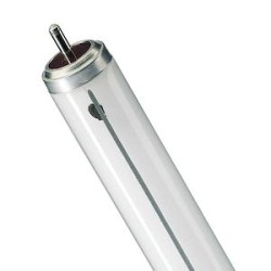 TF - T12 D38mm 65W BI/33 4000K Rapid-Start