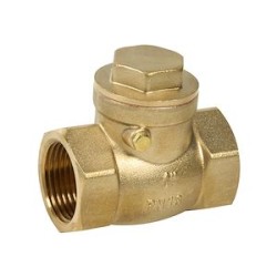 Clapet de retenue laiton à battant 322 2'