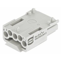 Han BRID FEMELLE SANS CI