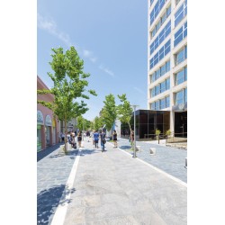 ISCHIA Roto 3590 Led 48W graphite Ip66 Ik10 5580lm 3000K