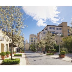 ISCHIA Roto 3590 Led 35W graphite Ip66 Ik10 4300lm 3000K