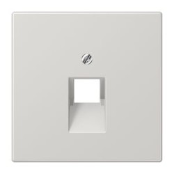 Enjoliveur pour prise IAE/UAE / LS 990 Gris clair