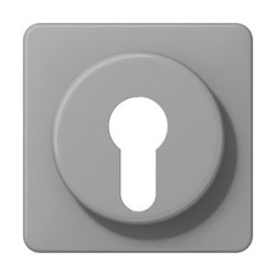 Enjoliveur pour IN et BP à clé / CD 500 Gris