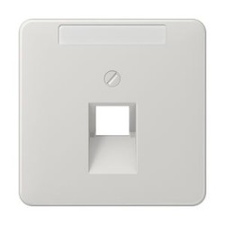 Enjoliveur pour prise IAE/UAE avec PE / CD 500 Gris clair