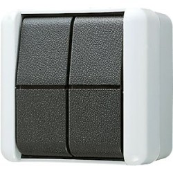 Double Bouton poussoir inverseur 10 AX 250 V ~ / WG 800