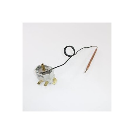 pièce de rechange origine fabricant : thermostat primaire