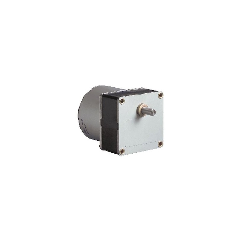Synchronous Geared Motor 805470 Dir.2 V220-230 Hz50 Ratio125