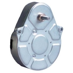 Gearbox Ovoïde 810210 Ratio125/2 ShaftStd