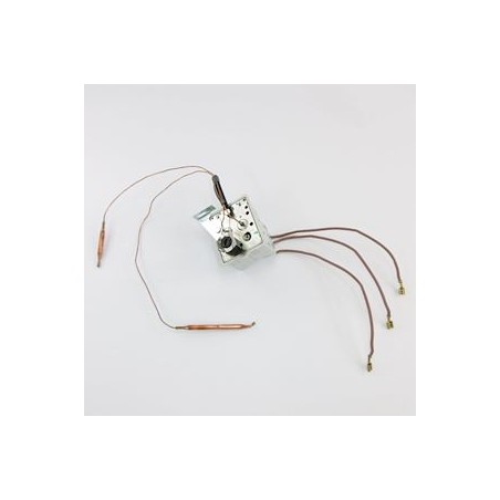Thermostat tripolaire BTS