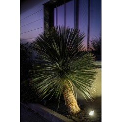 ELIOS 9IN1 gris anthracite 2400K/3000K/4000K 3000lm 25W 120DEG