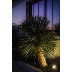 ELIOS 9IN1 gris anthracite 2400K/3000K/4000K 3000lm 25W 120DEG