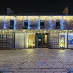 AUTHENTIC-Rideau stalactite, H.0,80xL.4,50m, caps Ø8mm, 280 LED blanc chaud pét